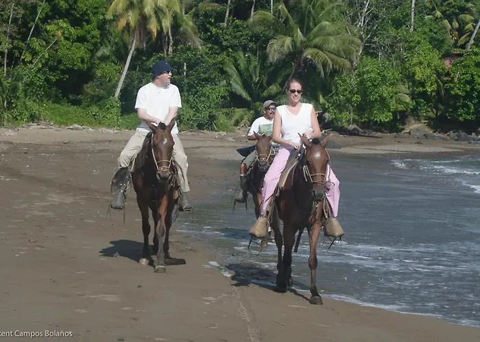 Tapirus Playa